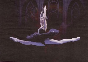 Royal Moscow Ballet Performance